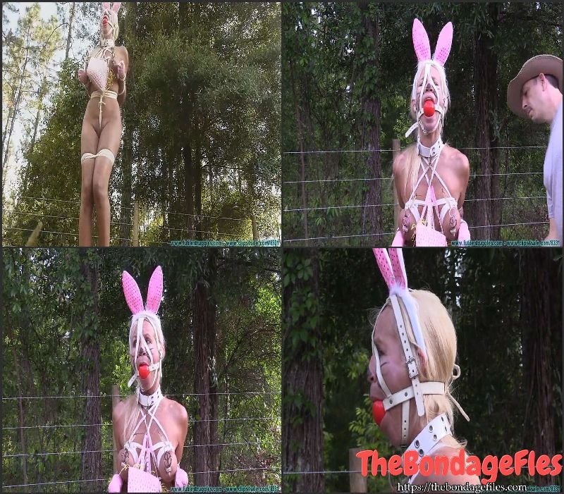 Amanda Foxx to Bunny Transformation - Part 2-Bondage Porn and BDSM Sex Videos [2017, FutileStruggles.com,  Tape,  Satin Panty,  Bondage, 720p, SiteRip]