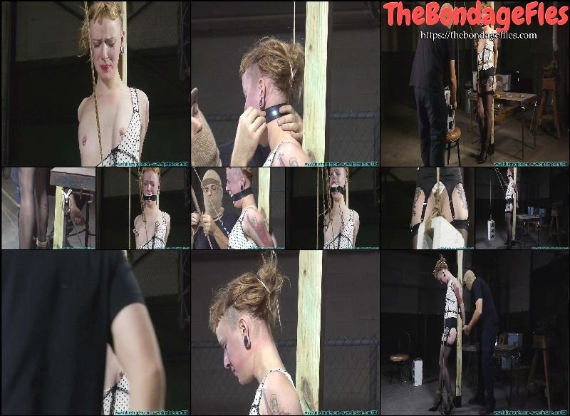 Moxie Belt Whipped, Gagged, Nose Hooked, Clamped, Crotch Roped - Part 2-Bondage Porn and BDSM Sex Videos [2017, FutileStruggles.com,  Zipties,  Stockings,  Bondage, 720p, SiteRip]