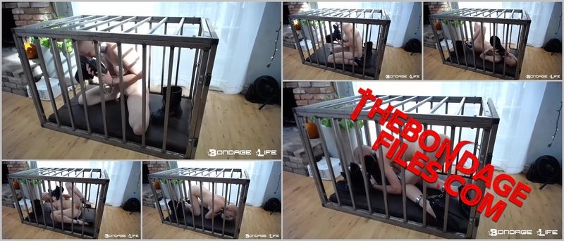 BrutalMaster, Rachel Greyhound - Lick My Boots and Drink My Piss! [2020, BondageLife, Forced Orgasm, BDSM, Shaved, SiteRip, 720p]