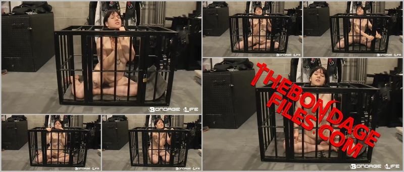 Lita Lecherous - Brats Get The Cage [2020, BondageLife, Forced Orgasm, Bald, Handcuffs, SiteRip, 720p]