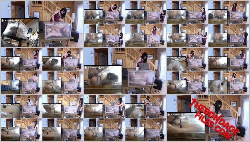 Lita Lecherous, Rachel Greyhound - The Sweat Box (With Lita) [2020, BondageLife, Chastity, Blonde, Tied, SiteRip, 720p]