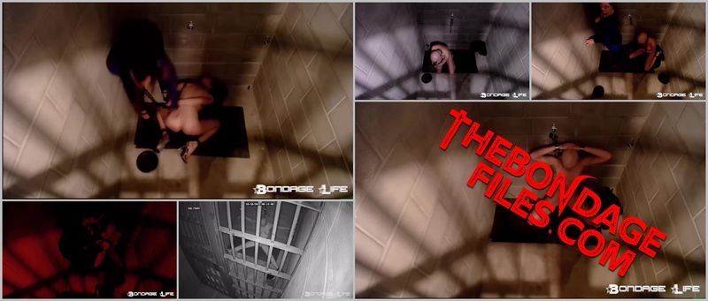 Rachel Greyhound - 48-Hour Jailcell challenge Commentary [2020, BondageLife, BDSM, Shaved, Forced Orgasm, SiteRip, 720p]