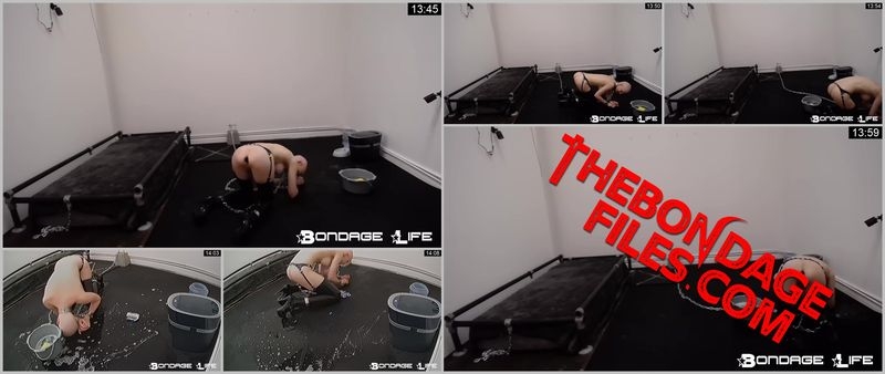 Rachel Greyhound - Floor Scrubbing (4.9.2018) [2020, BondageLife, Blonde, Chastity, Handcuffs, SiteRip, 720p]