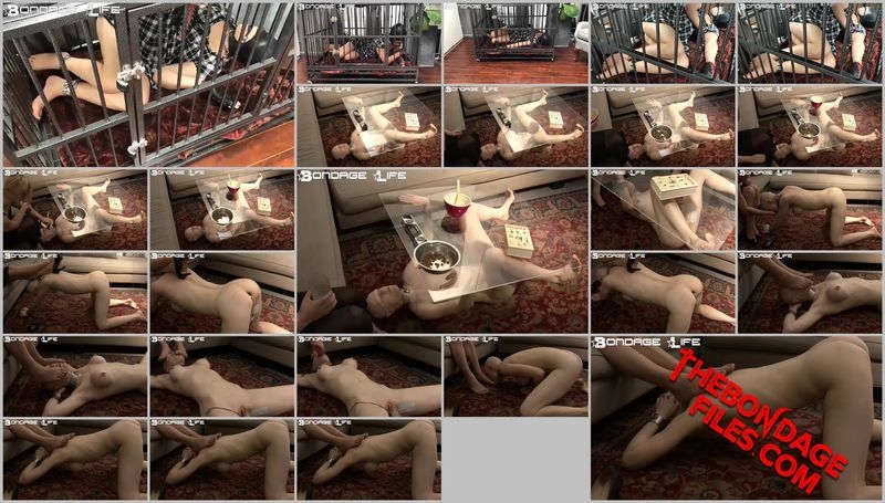 Kat, Rachel Greyhound - Captured Kitty And Greyhound CoffeeTable Lunch Commentary [2020, BondageLife, Torture, BDSM, Handcuffs, SiteRip, 720p]