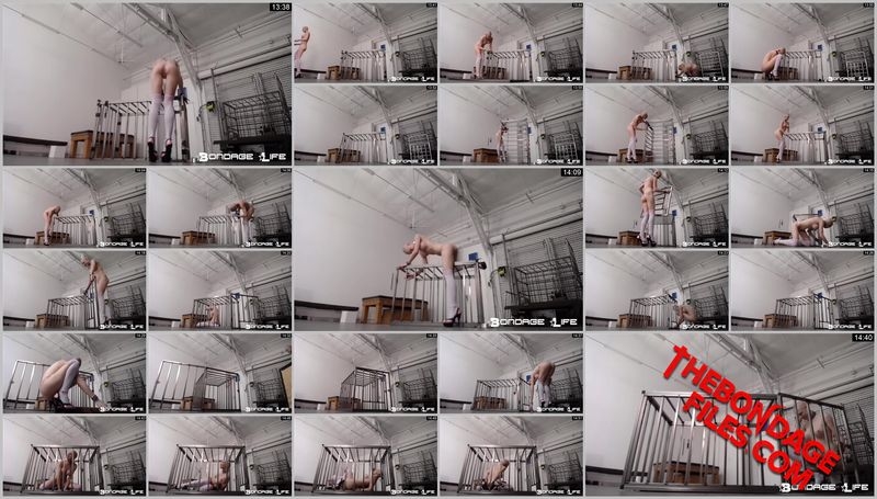 Rachel Greyhound - Greyhound The Builder [2020, BondageLife, Bondage, Handcuffs, Blonde, SiteRip, 720p]