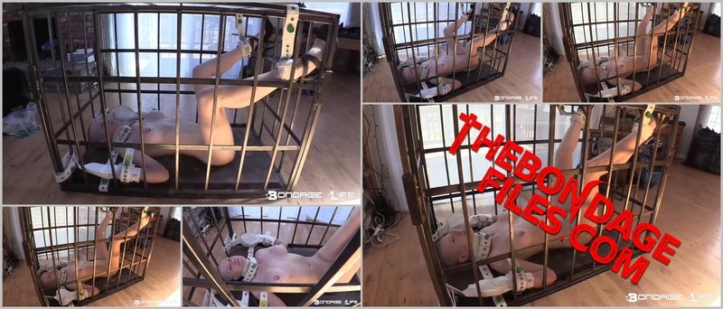 Rachel Greyhound - Cage Time (Pee Edition) [2020, BondageLife, BDSM, Torture, Tied, SiteRip, 720p]