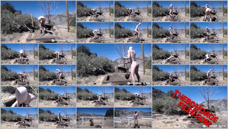 Rachel Greyhound - Hard Labor Digging Part 1 [2020, BondageLife, Tied, Torture, Shaved, SiteRip, 720p]