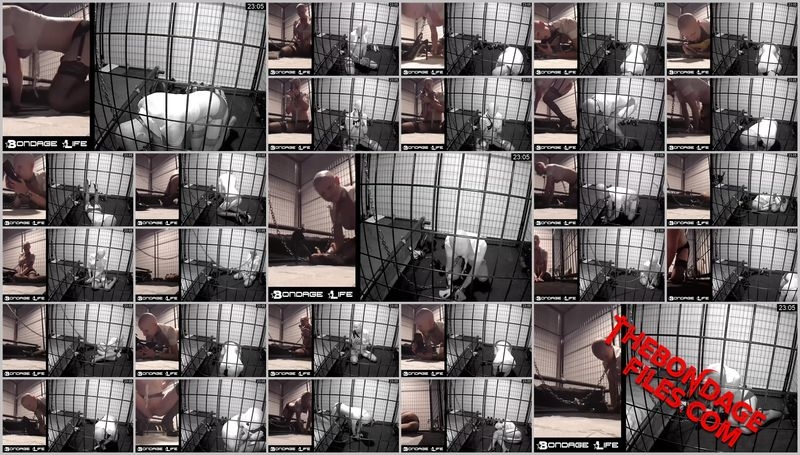 Rachel Greyhound - Evening Shoe Show [2020, BondageLife, Torture, BDSM, Blonde, SiteRip, 720p]