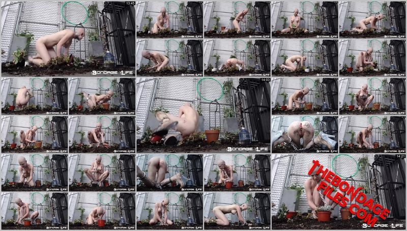 Rachel Greyhound - Gardening With Greyhound [2020, BondageLife, Torture, Handcuffs, Shaved, SiteRip, 720p]