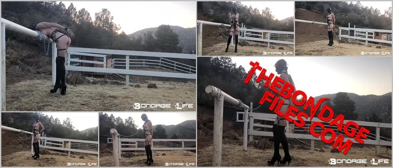 Rachel Greyhound - Evening Pony Post [2020, BondageLife, Handcuffs, Blonde, Tied, SiteRip, 720p]