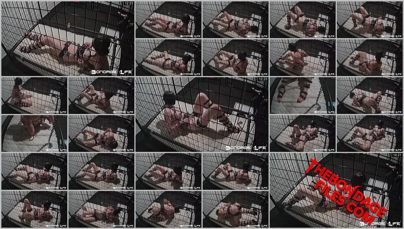 Rachel Greyhound - Lounging Around [2020, BondageLife, BDSM, Bald, Forced Orgasm, SiteRip, 720p]