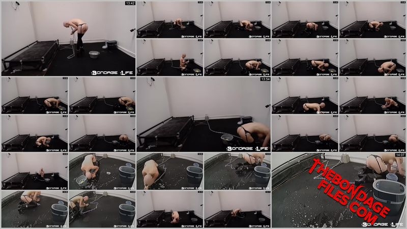 Rachel Greyhound - Floor Scrubbing (4.9.2018) [2020, BondageLife, Blonde, Chastity, Handcuffs, SiteRip, 720p]