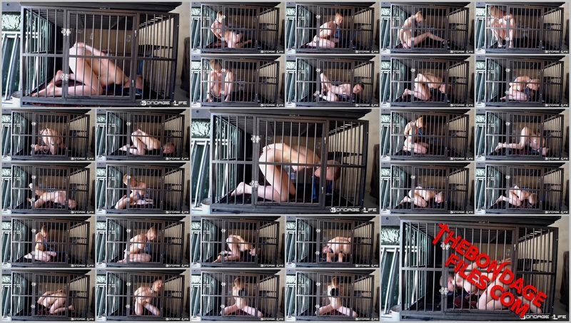Rachel Greyhound - Cage Time (Leash Edition) [2020, BondageLife, Shaved, Forced Orgasm, Bondage, SiteRip, 720p]