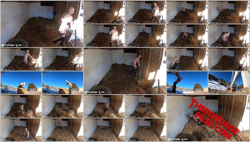 Rachel Greyhound - On The Farm (1.13.2020) [2020, BondageLife, Bald, Forced Orgasm, BDSM, SiteRip, 720p]