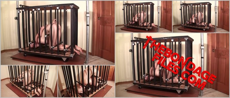 Rachel Greyhound - Rachel Barred [2020, BondageLife, BDSM, Blonde, Tied, SiteRip, 720p]