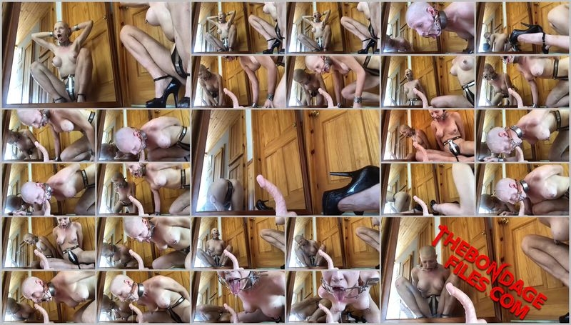 Rachel Greyhound - Evening With Greyhound (Drool Edition) [2020, BondageLife, Bald, Forced Orgasm, Shaved, SiteRip, 720p]