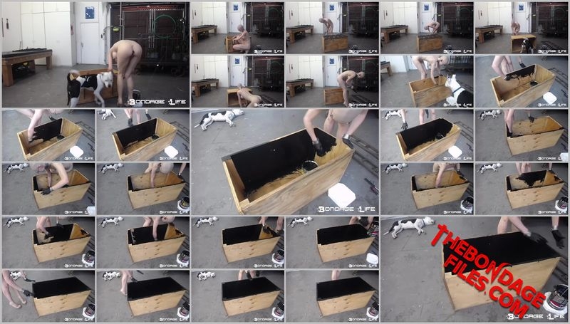 Rachel Greyhound - Paint Box [2020, BondageLife, Forced Orgasm, BDSM, Handcuffs, SiteRip, 720p]