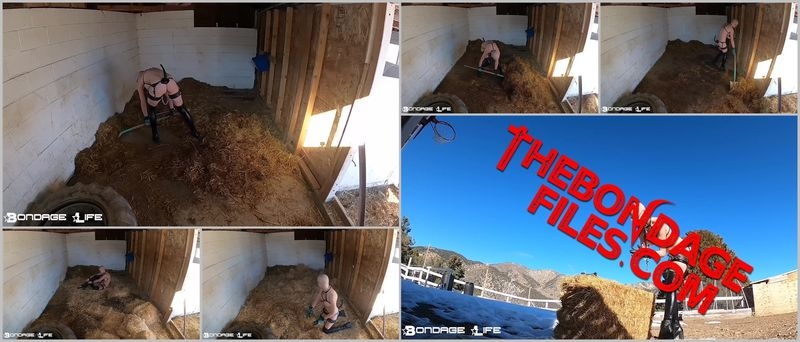 Rachel Greyhound - On The Farm (1.13.2020) [2020, BondageLife, Bald, Forced Orgasm, BDSM, SiteRip, 720p]