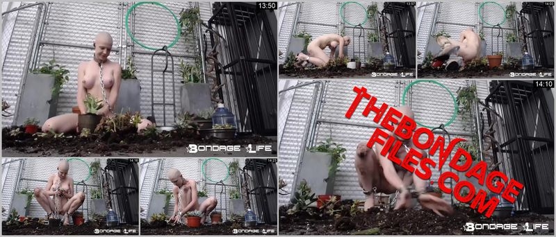 Rachel Greyhound - Gardening With Greyhound [2020, BondageLife, Torture, Handcuffs, Shaved, SiteRip, 720p]