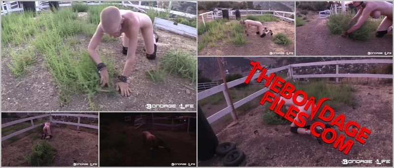 Rachel Greyhound - Weed Work (Part2) [2020, BondageLife, Chastity, BDSM, Blonde, SiteRip, 720p]