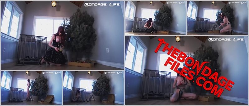 Rachel Greyhound - Decorating The Christmas Tree [2020, BondageLife, Blonde, Torture, Chastity, SiteRip, 720p]