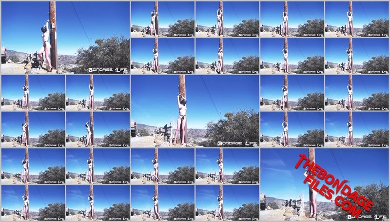 Rachel Greyhound - Outside In Chastity [2020, BondageLife, BDSM, Torture, Bondage, SiteRip, 720p]