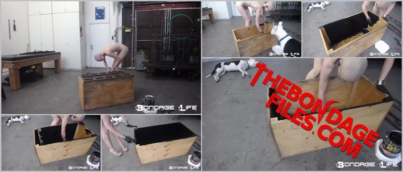 Rachel Greyhound - Paint Box [2020, BondageLife, Forced Orgasm, BDSM, Handcuffs, SiteRip, 720p]