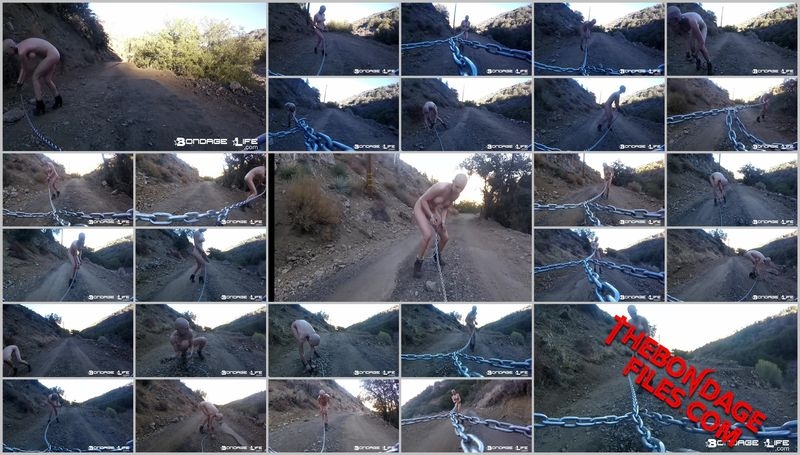 Rachel Greyhound - Road Labor [2020, BondageLife, Torture, Forced Orgasm, Blonde, SiteRip, 720p]