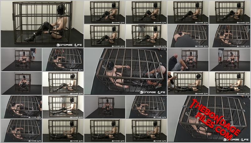 Rachel Greyhound - Some Heavy Cage Time [2020, BondageLife, Shaved, Forced Orgasm, Chastity, SiteRip, 720p]