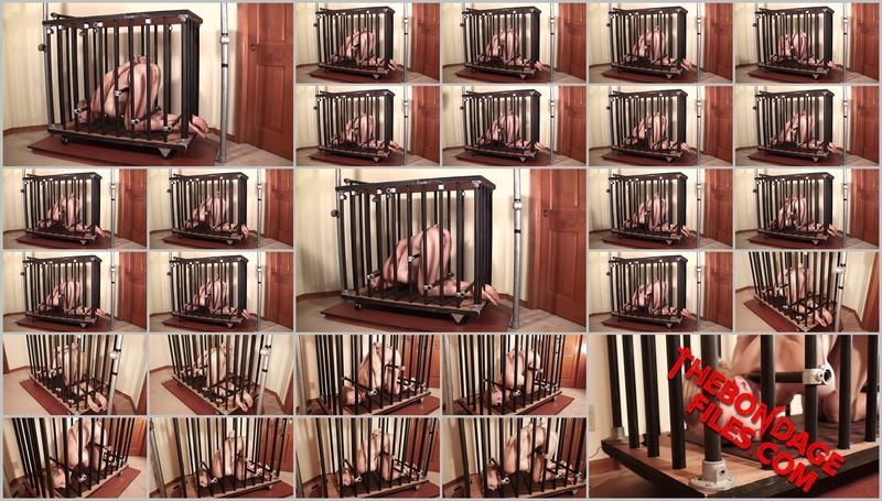 Rachel Greyhound - Rachel Barred [2020, BondageLife, BDSM, Blonde, Tied, SiteRip, 720p]