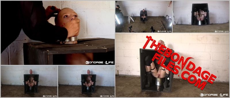 Rachel Greyhound, BrutalMaster - Greyhound In The Humiliation Box [2020, BondageLife, Forced Orgasm, Bald, Shaved, SiteRip, 720p]