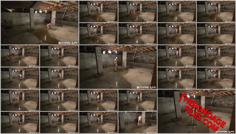 Rachel Greyhound, BrutalMaster - Brutalmaster Basement Squeegee [2020, BondageLife, Shaved, Handcuffs, Tied, SiteRip, 1080p]