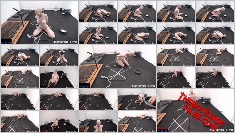 Rachel Greyhound - Wish Wednesday 50 Thumbtack Challenge [2020, BondageLife, Handcuffs, Bald, Blonde, SiteRip, 718]