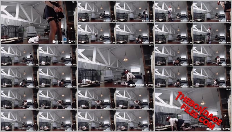 Rachel Greyhound - Upstairs Floor Sweep [2020, BondageLife, Tied, Torture, Chastity, SiteRip, 720p]
