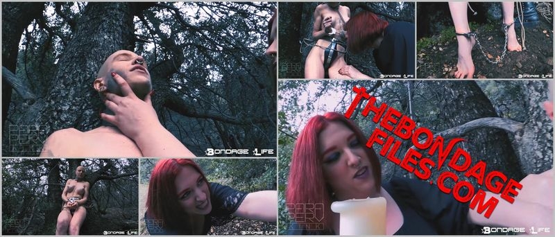 Rachel Greyhound, MissFreudiaО·Slit - 2019 Halloween Special The Flame Coven (ParaPerv Studios) [2020, BondageLife, Torture, BDSM, Forced Orgasm, SiteRip, 720p]