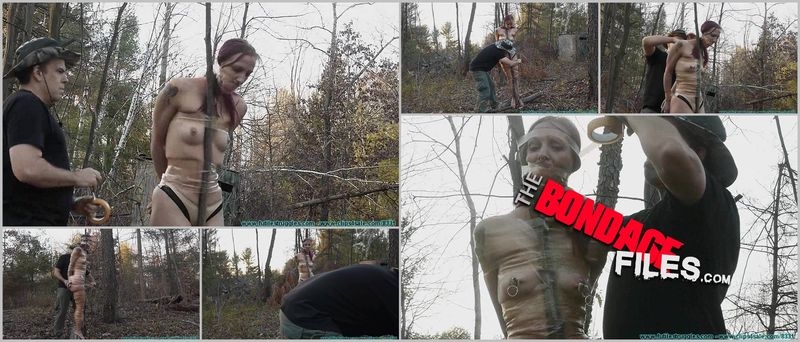 Tree Taped [2020, FutileStruggles, BDSM, Torture, Whipping, 720p]