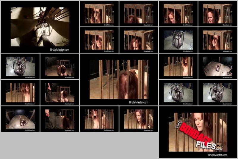 CowCagedCattleProd [2020, Brutalmaster, Sadism and Masochism, BDSM, Torture, 480p, SiteRip]