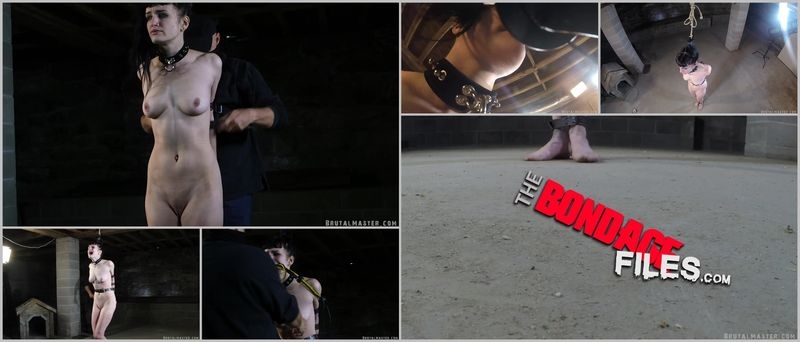 ElleBullwhipHell [2020, Brutalmaster, Bondage, BDSM, Corporal Punishment, 1080p, SiteRip]