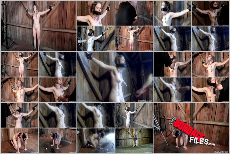 FayeStarrShockTheBitch [2020, Brutalmaster, Corporal Punishment, Torture, BDSM, 480p, SiteRip]