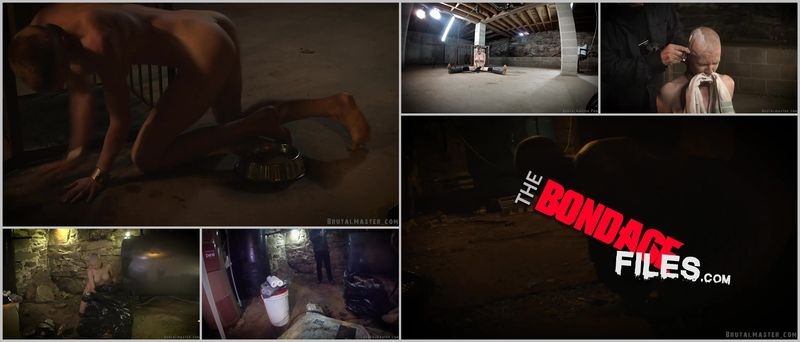 GreyhoundBoilerRoomTheMovie [2020, Brutalmaster, Corporal Punishment, BDSM, Sadism and Masochism, 1080p, SiteRip]
