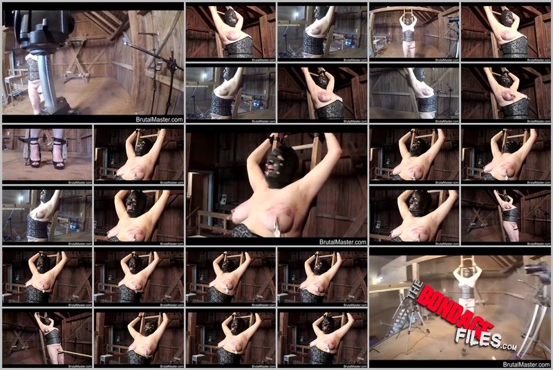 CowElectrified [2020, Brutalmaster, Torture, BDSM, Corporal Punishment, 480p, SiteRip]
