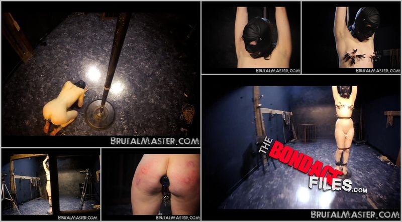 ConoFirstDay [2020, Brutalmaster, Sadism and Masochism, BDSM, Torture, 480p, SiteRip]