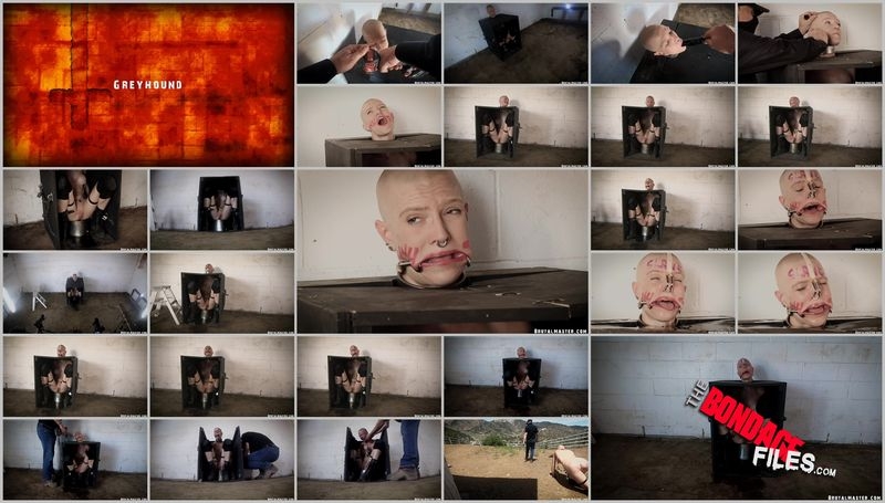 GreyhoundHumiliationBox [2020, Brutalmaster, Sadism and Masochism, Bondage, Torture, 1080p, SiteRip]