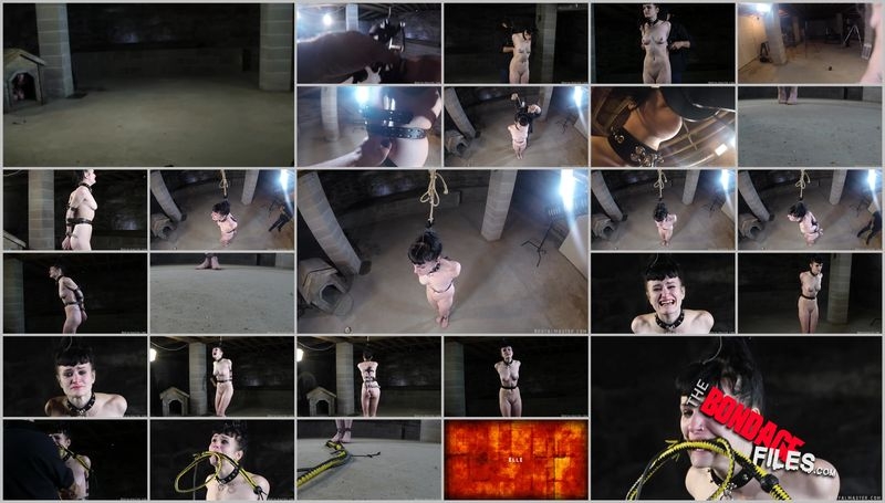 ElleBullwhipHell [2020, Brutalmaster, Bondage, BDSM, Corporal Punishment, 1080p, SiteRip]