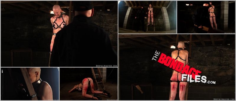 GreyhoundOnTheLadderInTheDungeon [2020, Brutalmaster, Torture, Bondage, Corporal Punishment, 1080p, SiteRip]