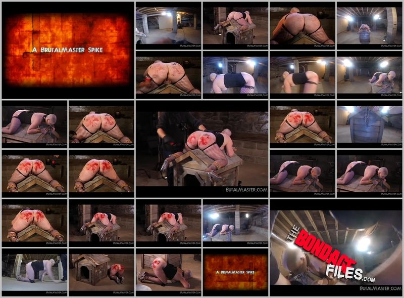 MissyReturnToHELLChapterShreddedAss [2020, Brutalmaster, BDSM, Torture, Bondage, 480p, SiteRip]