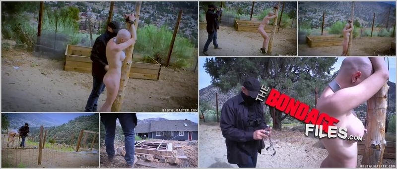 GreyhoundHotDayAtTheRanch [2020, Brutalmaster, Torture, Bondage, Corporal Punishment, 1080p, SiteRip]