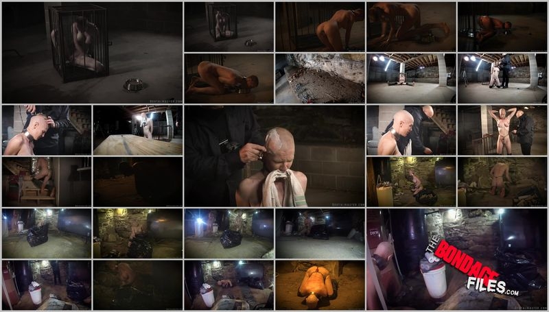 GreyhoundBoilerRoomTheMovie [2020, Brutalmaster, Corporal Punishment, BDSM, Sadism and Masochism, 1080p, SiteRip]