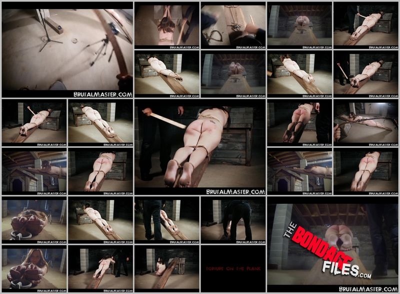 HolePlankTorture [2020, Brutalmaster, Torture, BDSM, Corporal Punishment, 480p, SiteRip]