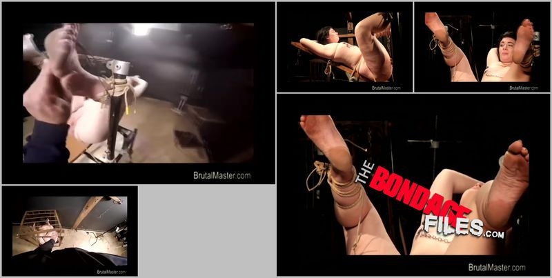HarleyAceCompletelyBroken [2020, Brutalmaster, Sadism and Masochism, Bondage, Torture, 480p, SiteRip]